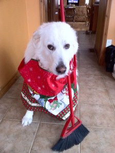 Dog with apron and broom