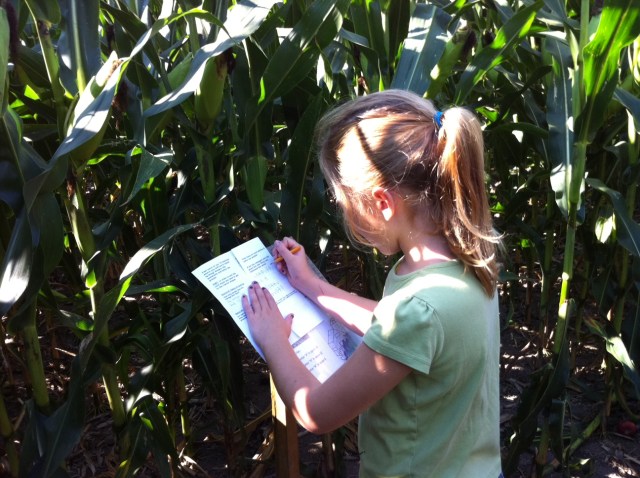 Girl in a corn maze