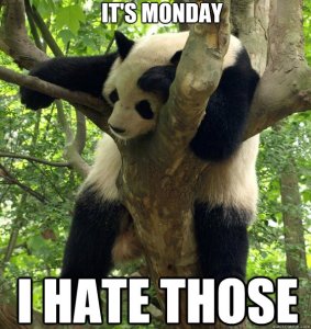 Panda in tree saying he hates mondays