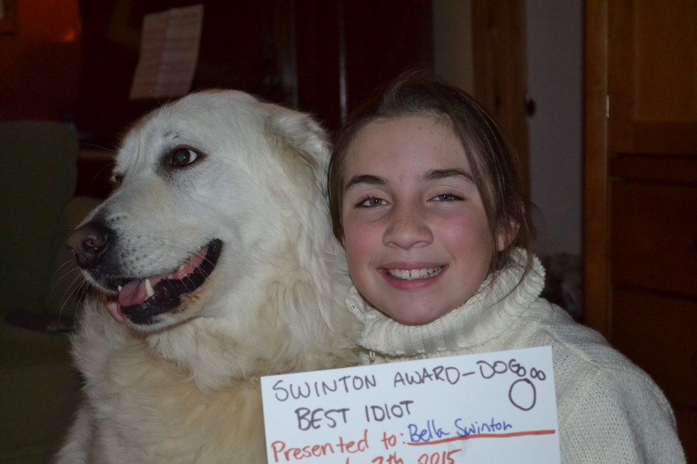 Dog with award