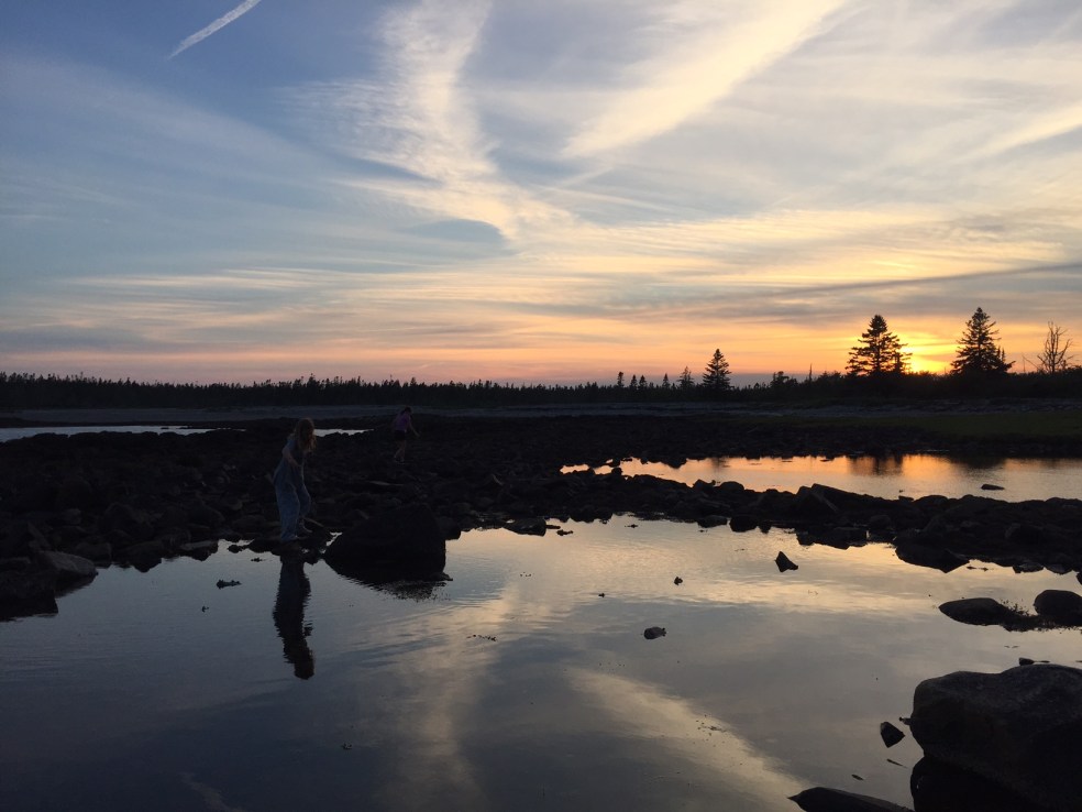 acadia national park beach at sunset