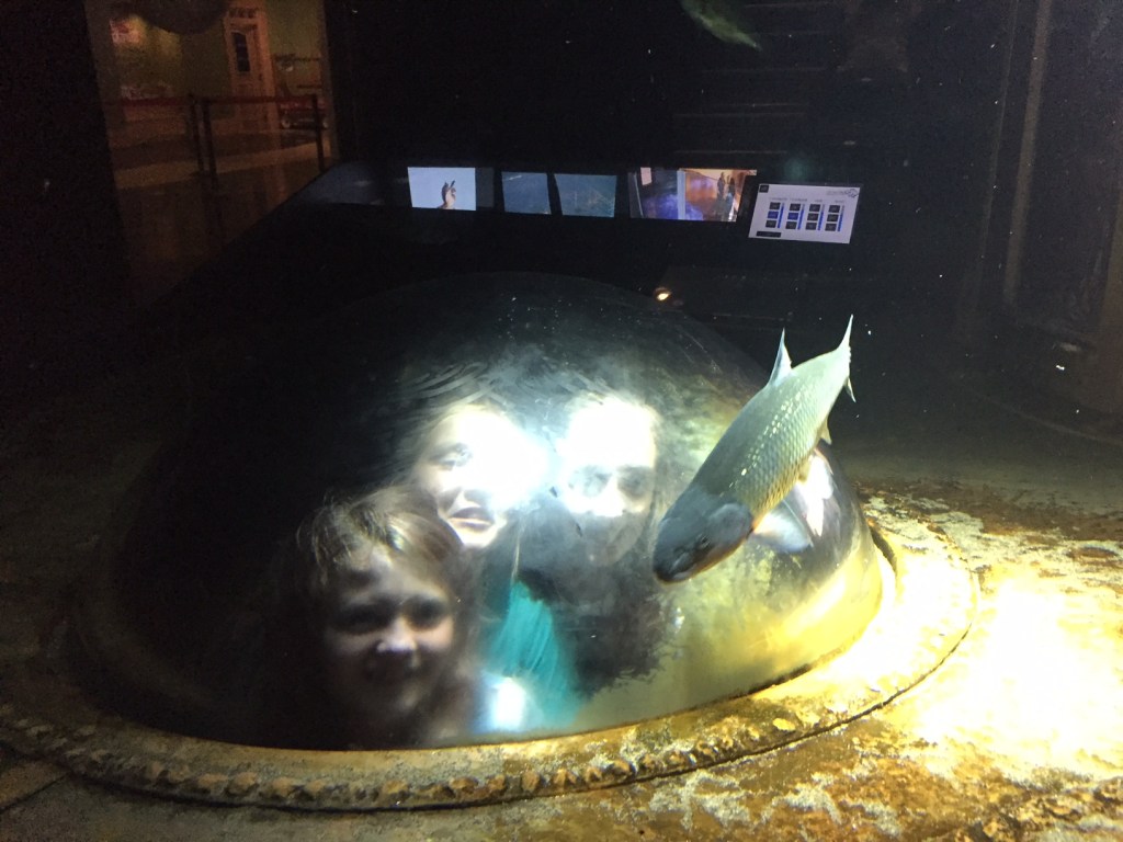 Girls looking at fish from a porthole