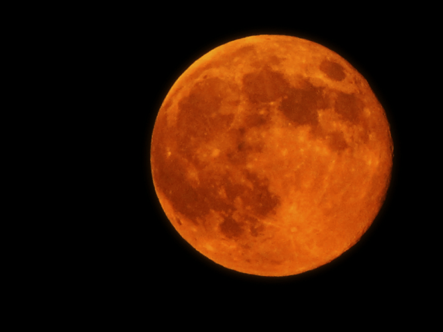 harvest-moon