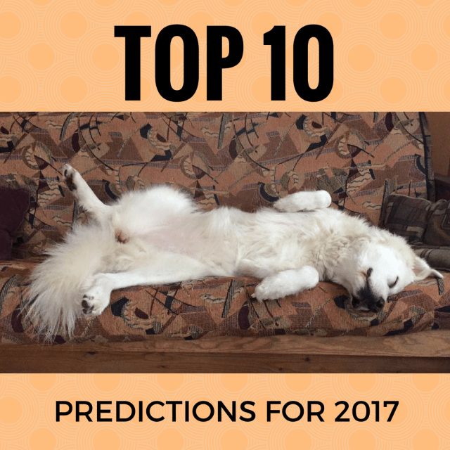 top predictions