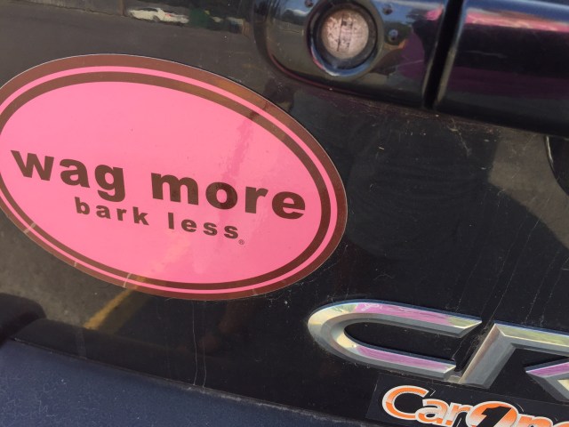 Bumper sticker that says wag more, bark less