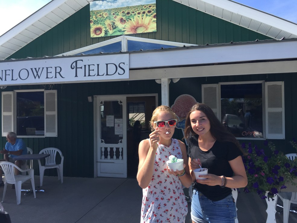 Sunflower fields ice cream shop