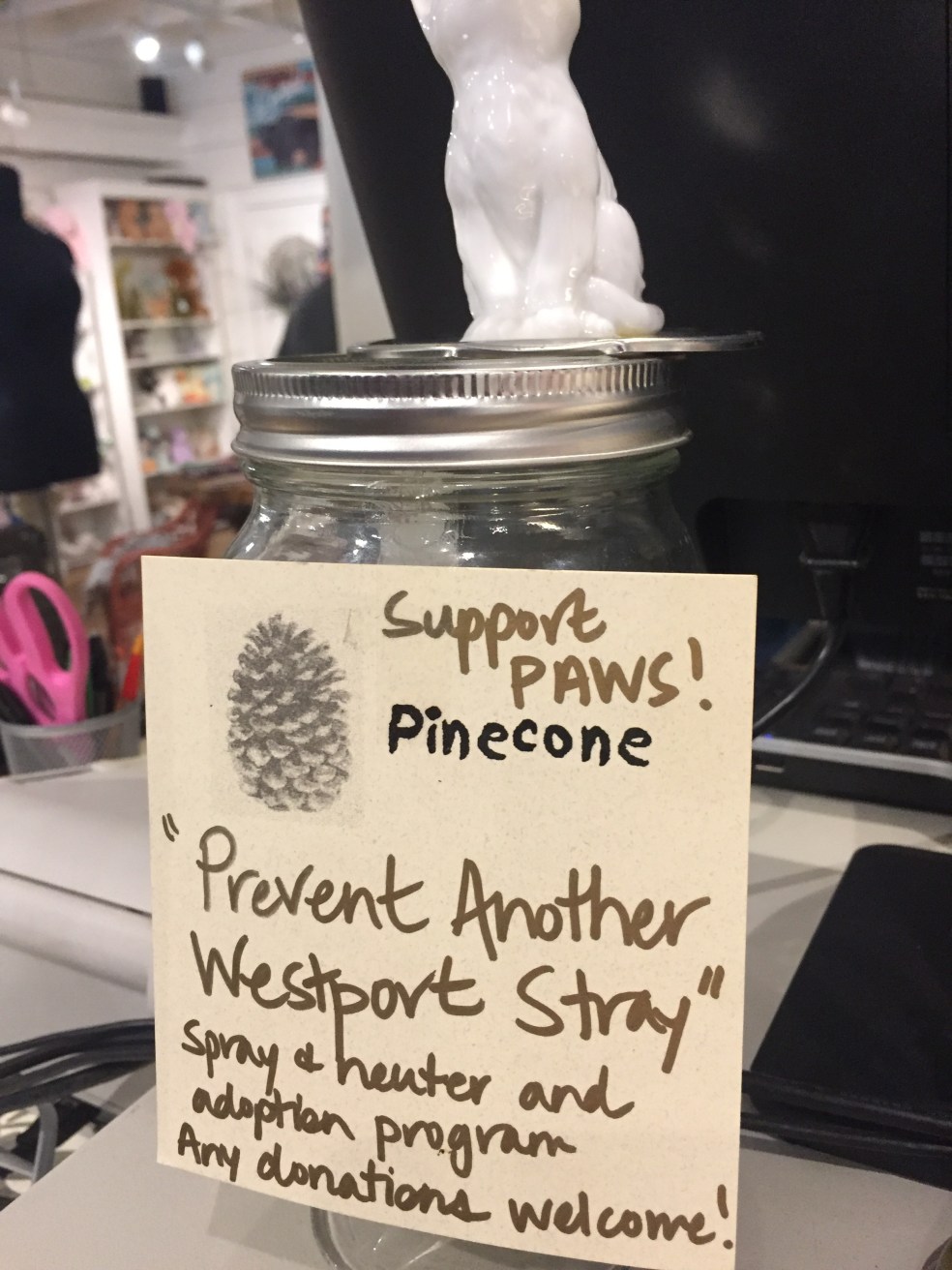 Sign with a typo that should have said spayed instead of sprayed