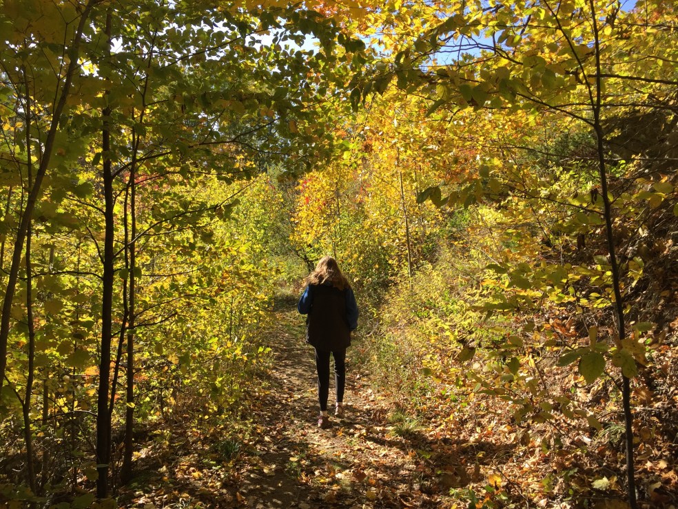 Girl walking in fall leaves