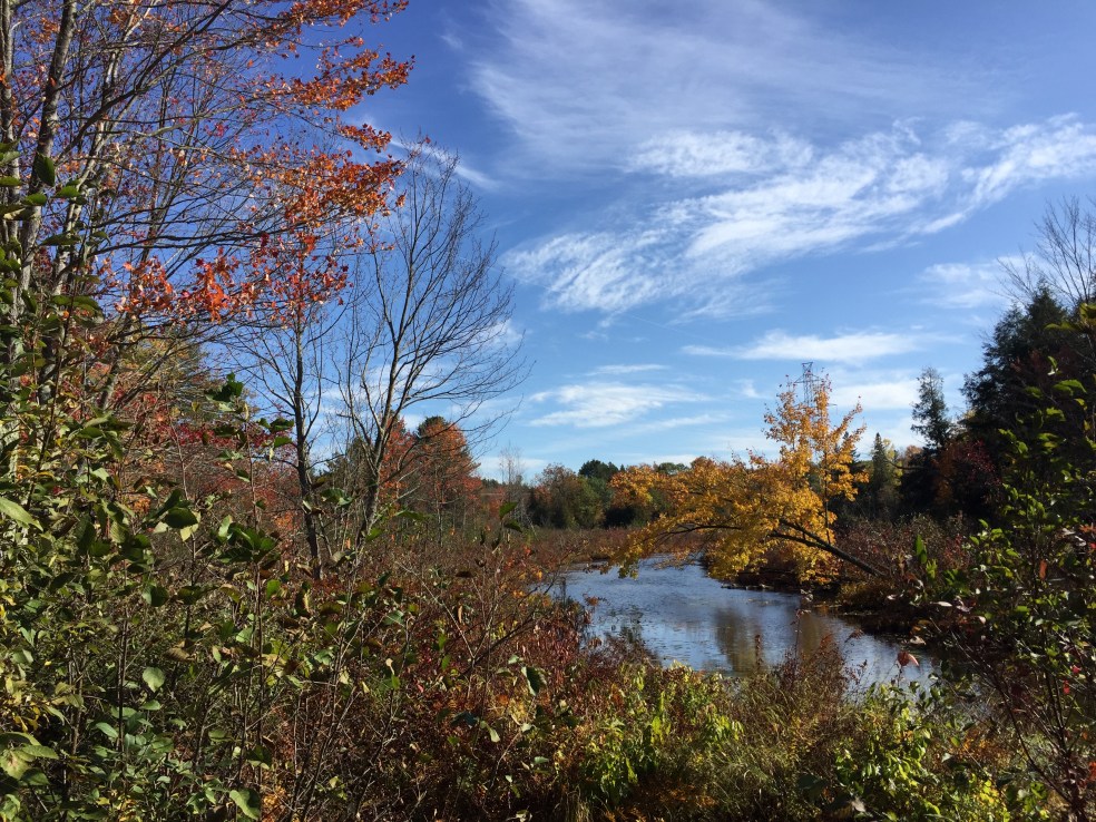 creek with fall colours