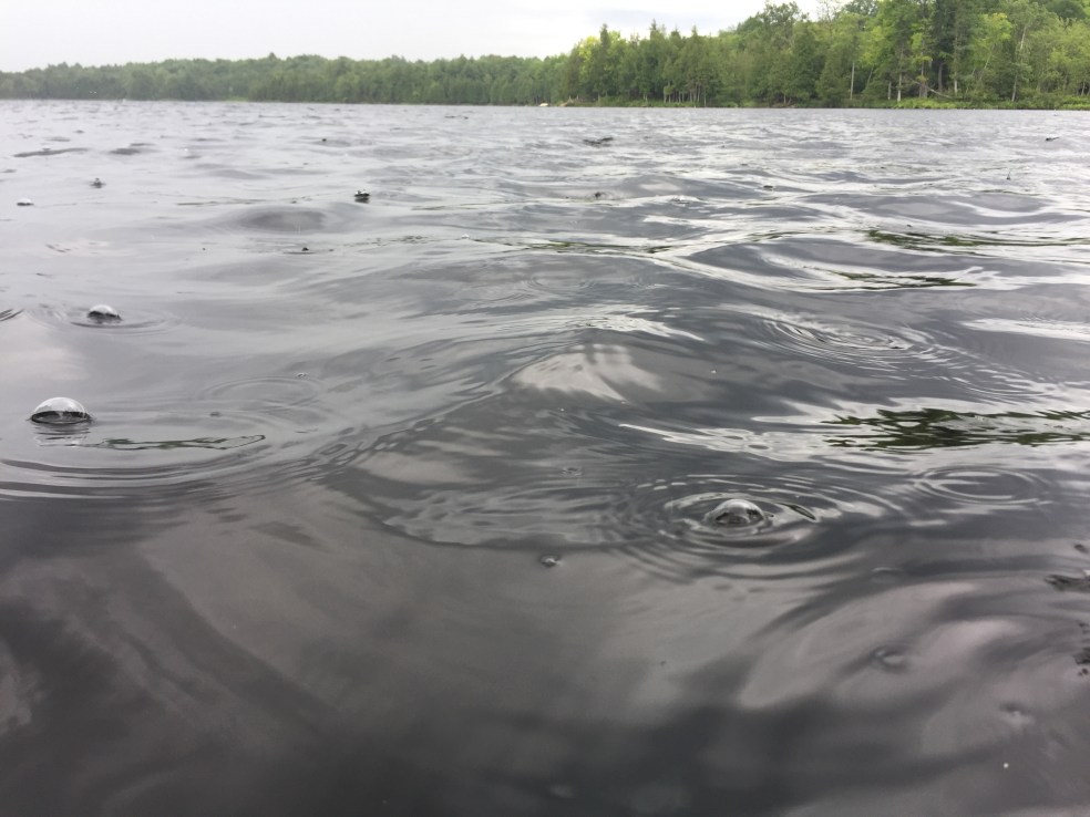 raindrops on a lake