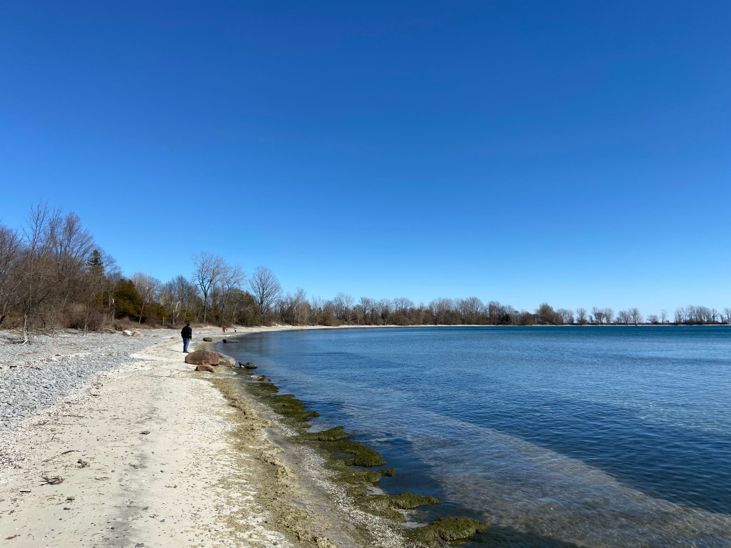 People walking on the beach