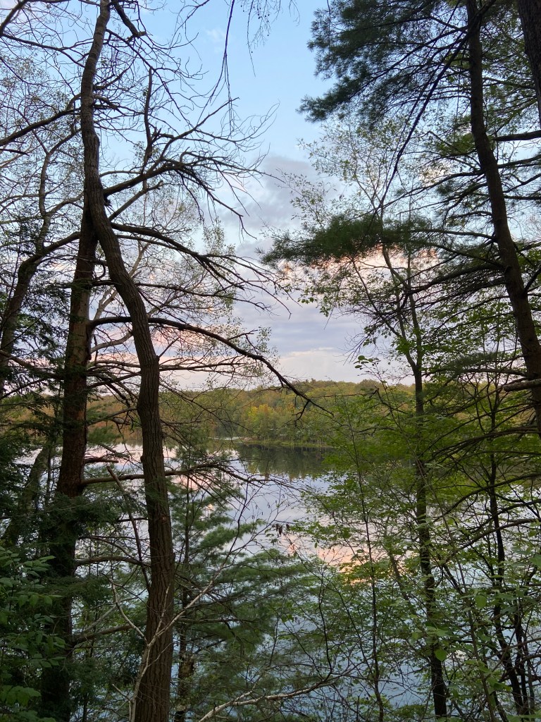 Cotton candy sky over the lake