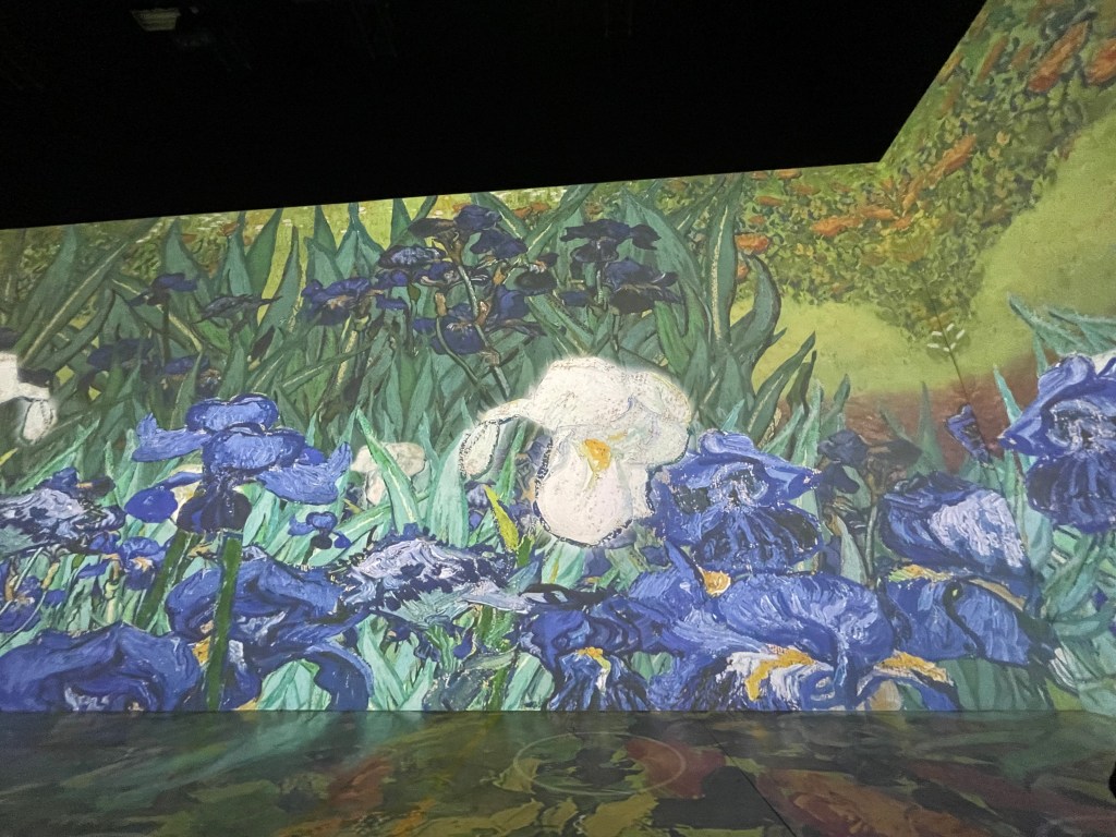 Van Gogh's lillies