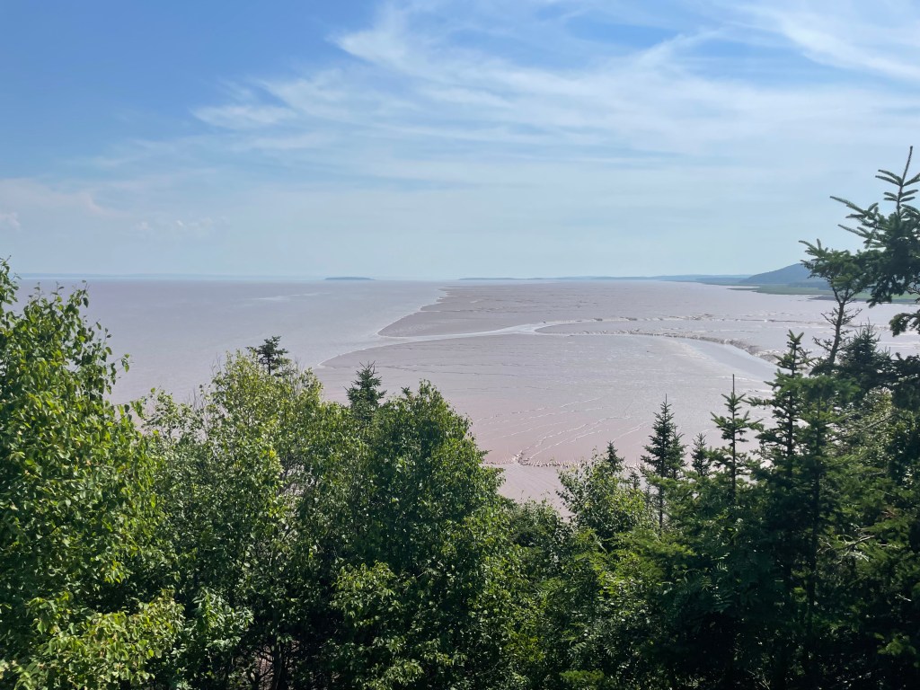 View of sandy soil and a deer