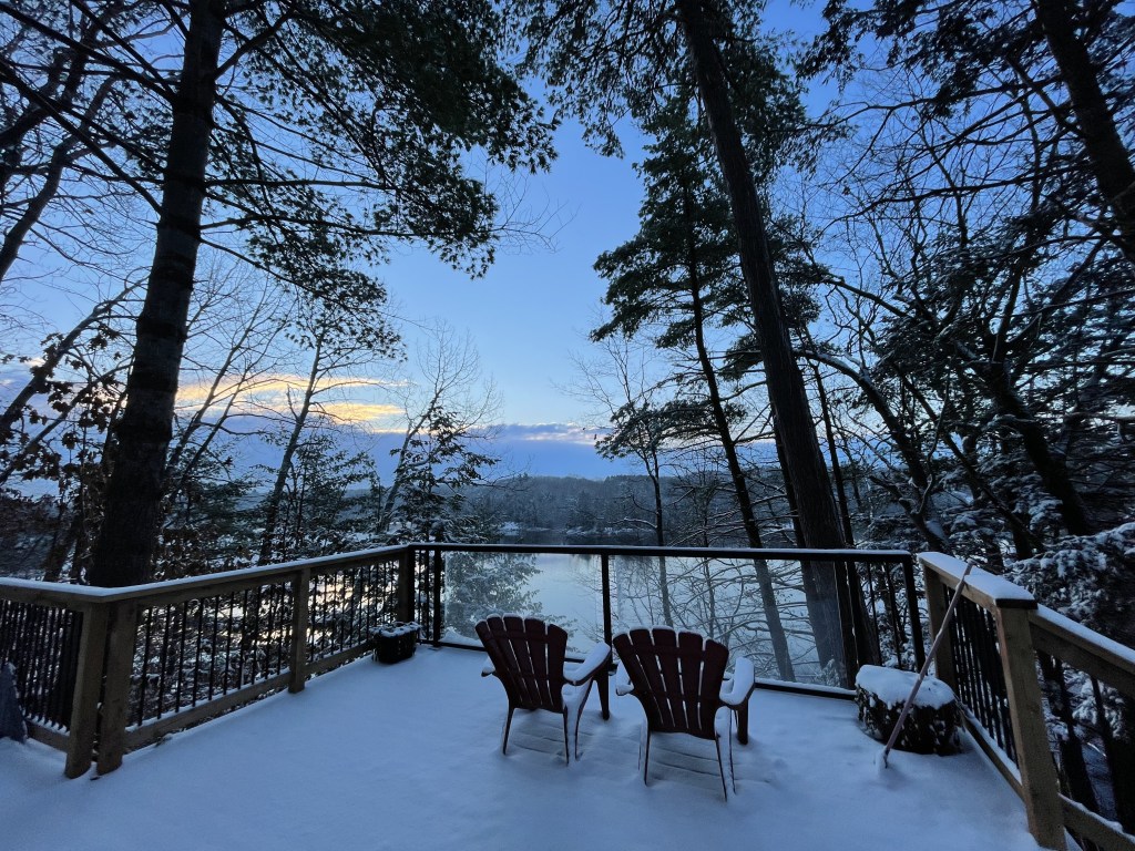 trees overlooking a lake