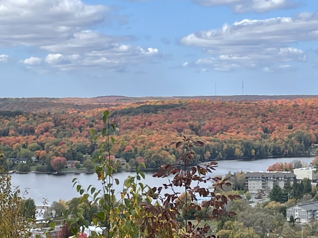 colourful trees beside a lake