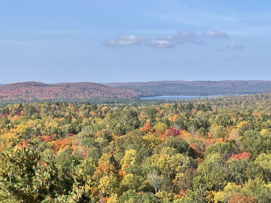 algonquin park in fall