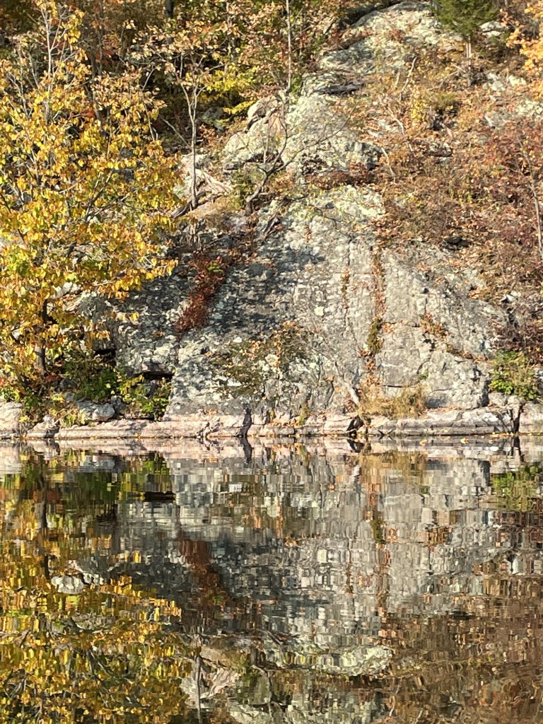 rock reflecting in lake