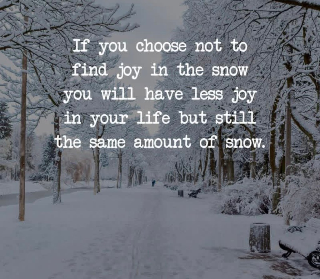 Saying, "If you choose not to find joy in the snow you will have less joy in your life but still the same amount of snow"