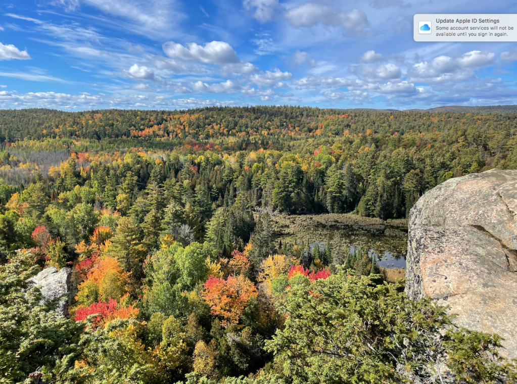 Fall colours in Ontario